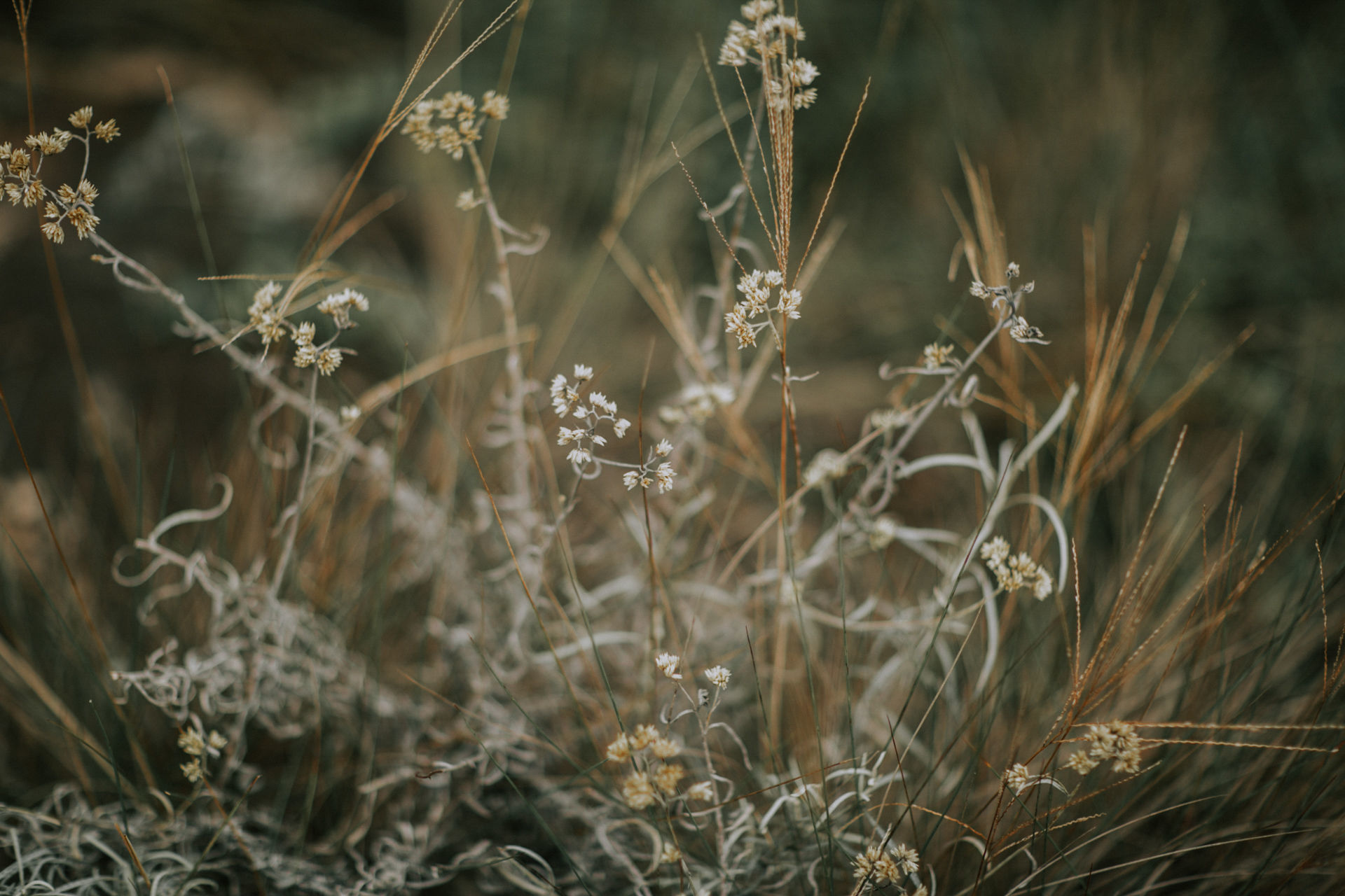 elpt_manuthiago_0135