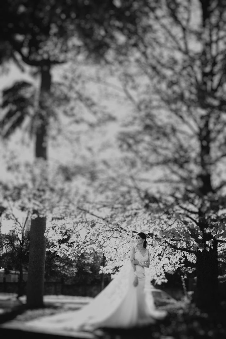cmto_fegold_0223